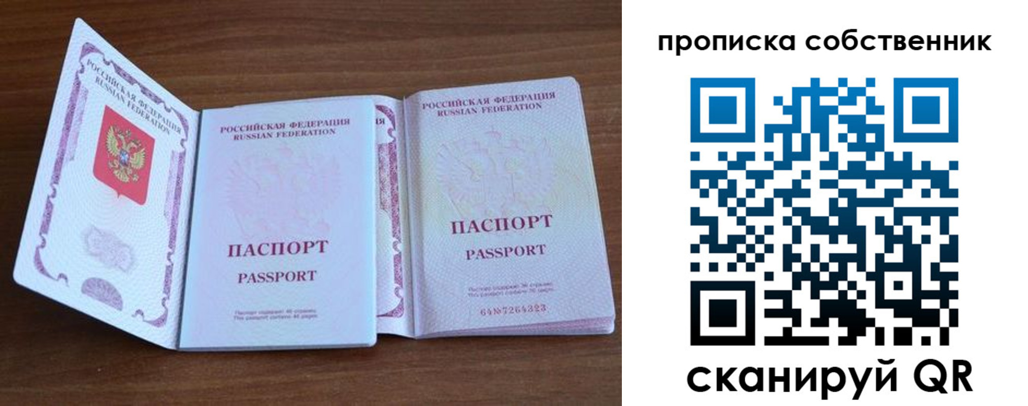регистрация в Судогде