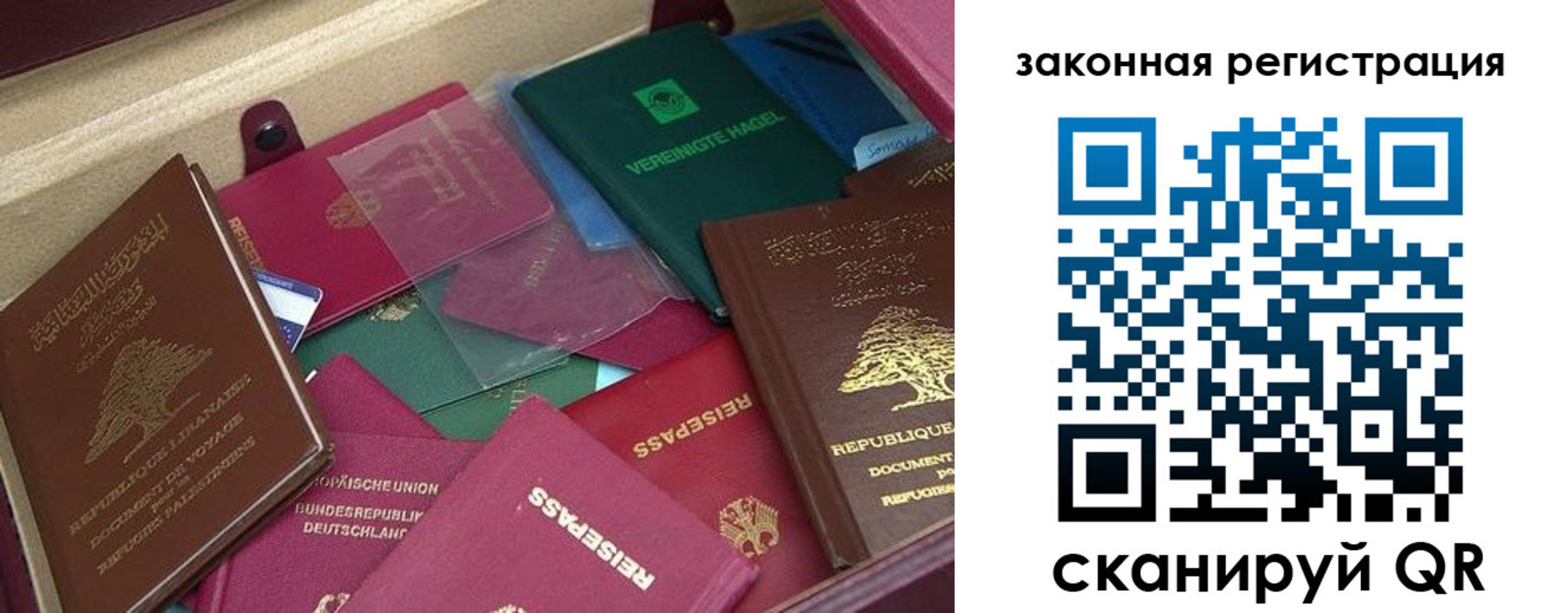купить прописку в Судогде
